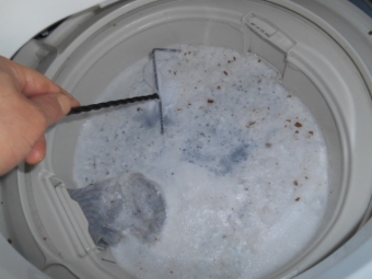 洗濯機清掃